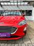 Ford Focus 1,5 Trend Edition Rouge - thumbnail 4