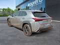 Lexus UX 250h Business 2WD Gris - thumbnail 6