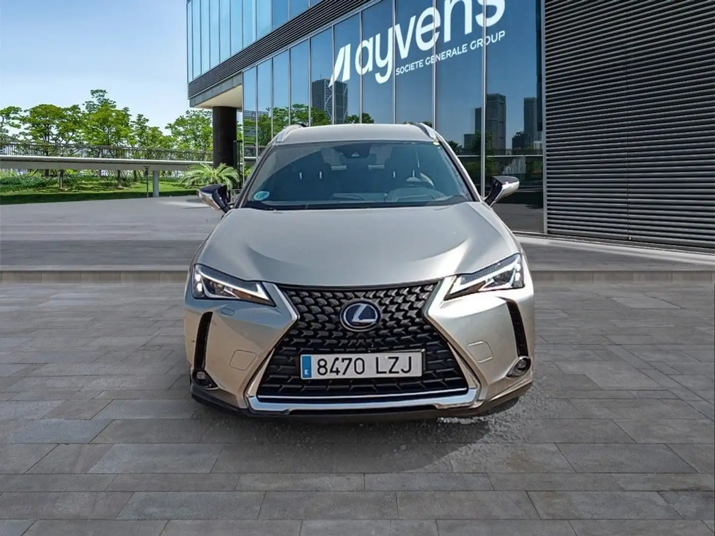 Lexus UX 250h Business 2WD Gris - 2