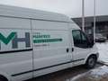 Ford Transit Kasten FT 350 M Trend 2,4 TDCi Blanc - thumbnail 6