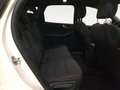 Ford Kuga ST-Line Blanco - thumbnail 10