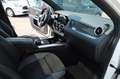 Mercedes-Benz B 250 e AMG # Schiebedach # AHK # LED... Weiß - thumbnail 22