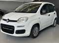 Fiat Panda panda easy varie panda a disposizione - thumbnail 1