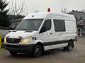 Mercedes-Benz Sprinter 515 CDI mit WERKSTATTAUSRÜSTUNG+AHK+3 SITZE+TUV Weiß - thumbnail 3