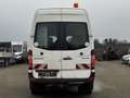 Mercedes-Benz Sprinter 515 CDI mit WERKSTATTAUSRÜSTUNG+AHK+3 SITZE+TUV Weiß - thumbnail 5