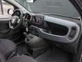 Fiat Panda 69pk Hybrid Cross (DIRECT rijden!!/Climate/Cruise/ Grijs - thumbnail 28