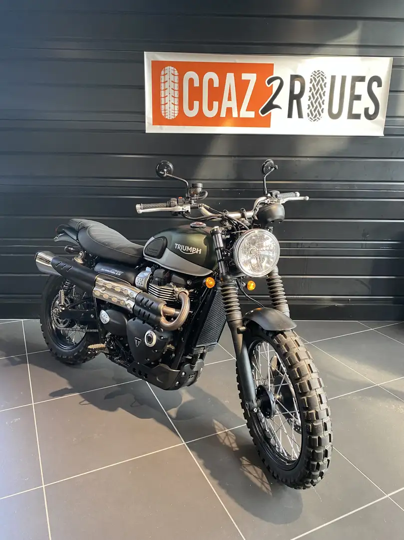 Triumph Street Scrambler Grün - 1