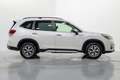 Subaru Forester 2.0i Hybrid Executive Plus CVT Blanco - thumbnail 7