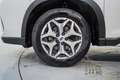 Subaru Forester 2.0i Hybrid Executive Plus CVT Blanco - thumbnail 11