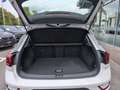 Volkswagen T-Roc 1.5 Style DSG Dach schwarz AHK Carplay Klima Weiß - thumbnail 11