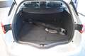 Renault Megane dCi Business Edition Navi~Tempomat~LaneAs Grau - thumbnail 12