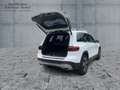 Mercedes-Benz GLB 200 d 4MATIC Progressive *PTS*Shz*LED*Ambi* Weiß - thumbnail 13