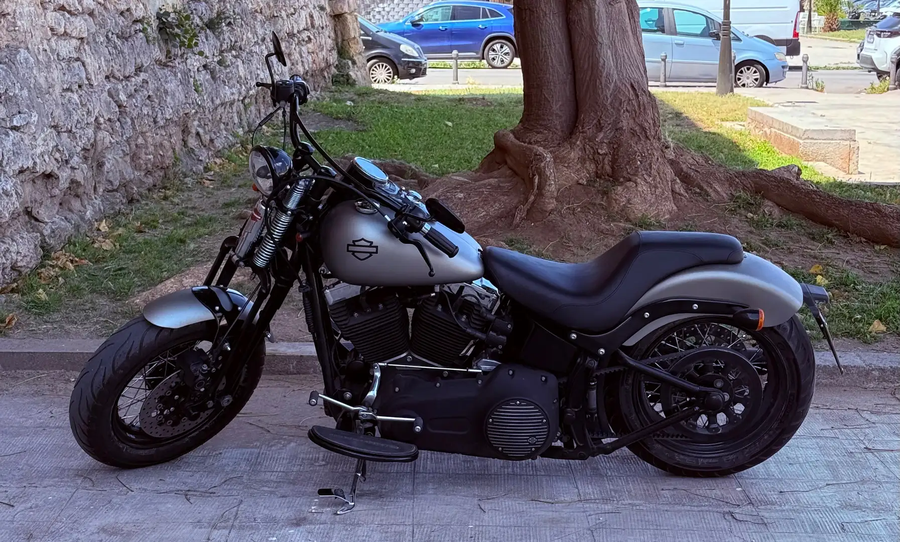 Harley-Davidson Softail Cross Bones Plateado - 1