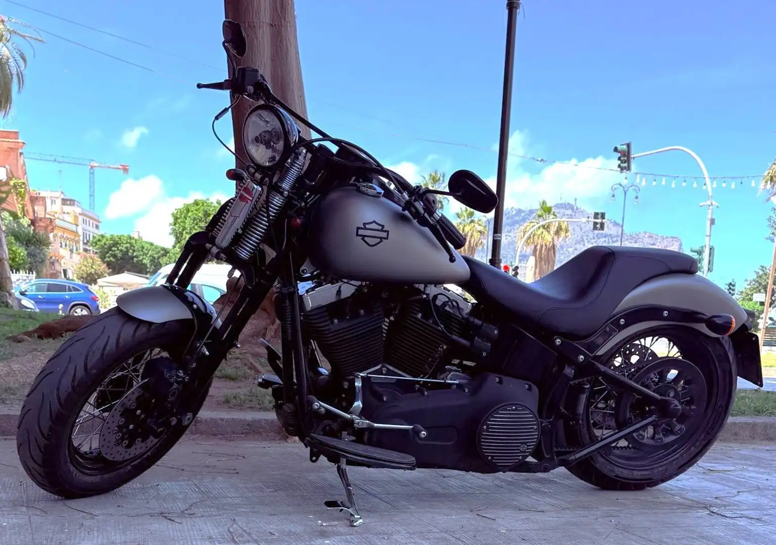 Harley-Davidson Softail Cross Bones Gris - 1