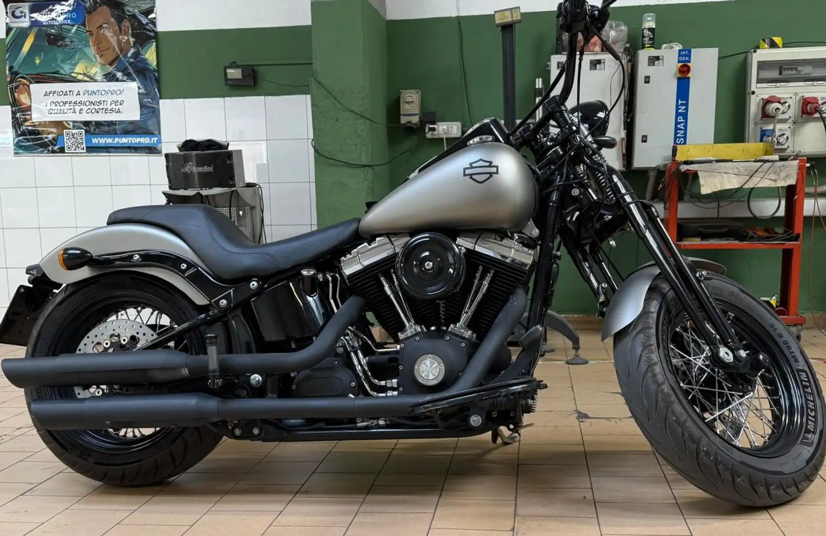 Harley-Davidson Softail Cross Bones Gris - 2