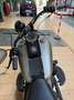 Harley-Davidson Softail Cross Bones Gris - thumbnail 5