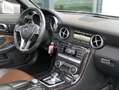 Mercedes-Benz SLK 250 SLK 250 d H&K! Bi-Xenon! PDC! Silber - thumbnail 17