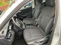 Skoda Scala Ambition PDC/ Sitzh./ AppConnect Gris - thumbnail 11