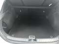 Kia XCeed 1.5 T-GDi 140 CV MHEV MT Business Verde - thumbnail 13
