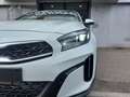 Kia XCeed 1.5 T-GDi 140 CV MHEV MT Business Verde - thumbnail 14