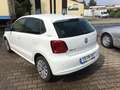 Volkswagen Polo V Team+Klimaautomatic+5Gang+Sitzh.+ 1 Hd. Weiß - thumbnail 4