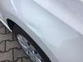 Volkswagen Polo V Team+Klimaautomatic+5Gang+Sitzh.+ 1 Hd. Weiß - thumbnail 12