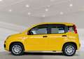 Fiat Panda 1.0 GSE Hybrid*DAB*City-Paket*PDC Gelb - thumbnail 2