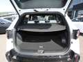 Kia Sportage 1.6T DCT AWD GT-Line Panorama H&K Sound Noir - thumbnail 6