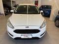 Ford Focus SW 1.5 tdci Business *OTTIME CONDIZIONI* Bianco - thumbnail 2