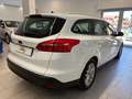 Ford Focus SW 1.5 tdci Business *OTTIME CONDIZIONI* Bianco - thumbnail 6