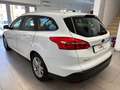 Ford Focus SW 1.5 tdci Business *OTTIME CONDIZIONI* Bianco - thumbnail 4