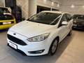 Ford Focus SW 1.5 tdci Business *OTTIME CONDIZIONI* Bianco - thumbnail 3