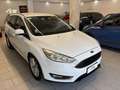 Ford Focus SW 1.5 tdci Business *OTTIME CONDIZIONI* Bianco - thumbnail 1