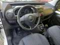 Citroen Nemo 1.3 HDi 75C VAN Furgone ok neopatentati Bianco - thumbnail 19
