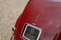 Alfa Romeo Alfa 6 6c 2500 Freccia d'Oro Matching numbers & Colors, o Rood - thumbnail 22