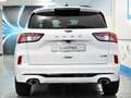 Ford Kuga 2.0 EcoBlue MEHV ST-Line X FWD 150 Weiß - thumbnail 20