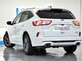 Ford Kuga 2.0 EcoBlue MEHV ST-Line X FWD 150 Weiß - thumbnail 29