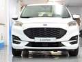 Ford Kuga 2.0 EcoBlue MEHV ST-Line X FWD 150 Weiß - thumbnail 4
