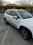 SEAT Ateca 1.6 tdi Xcellence dsg Blanc - thumbnail 7