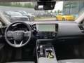Lexus NX 350h Executive Line*SHZ*NAVI*360° KAMERA*GJR* Grau - thumbnail 8