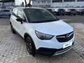 Opel Crossland X 1.5 Diesel 102cv Advance S&S MT6 Bianco - thumbnail 5