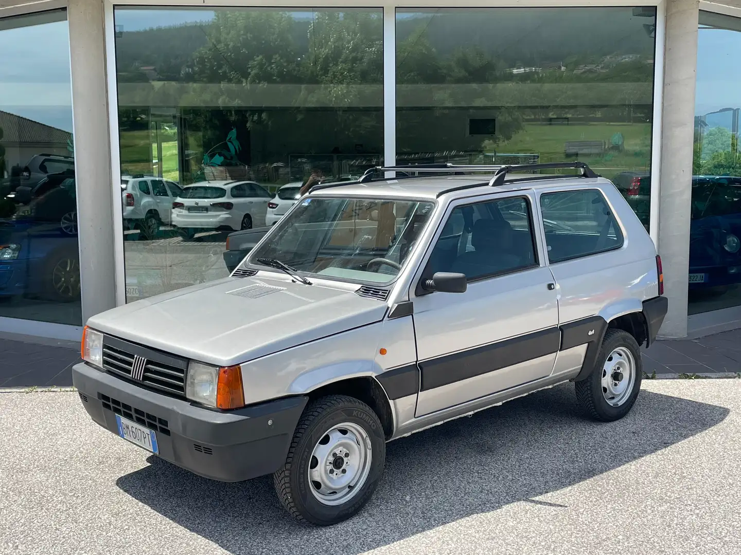 Fiat Panda 4x4 1.1 Trekking Grigio - 1