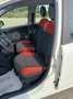 Fiat Panda Panda III 2016 1.2 Easy s Bianco - thumbnail 9