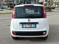 Fiat Panda Panda III 2016 1.2 Easy s Bianco - thumbnail 3