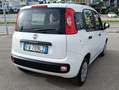 Fiat Panda Panda III 2016 1.2 Easy s Bianco - thumbnail 5