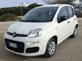Fiat Panda Panda III 2016 1.2 Easy s Bianco - thumbnail 6