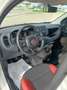 Fiat Panda Panda III 2016 1.2 Easy s Bianco - thumbnail 8