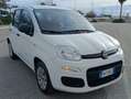 Fiat Panda Panda III 2016 1.2 Easy s Bianco - thumbnail 4