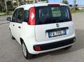 Fiat Panda Panda III 2016 1.2 Easy s Bianco - thumbnail 2