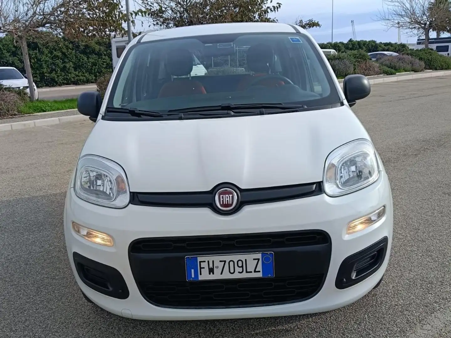 Fiat Panda Panda III 2016 1.2 Easy s Bianco - 1